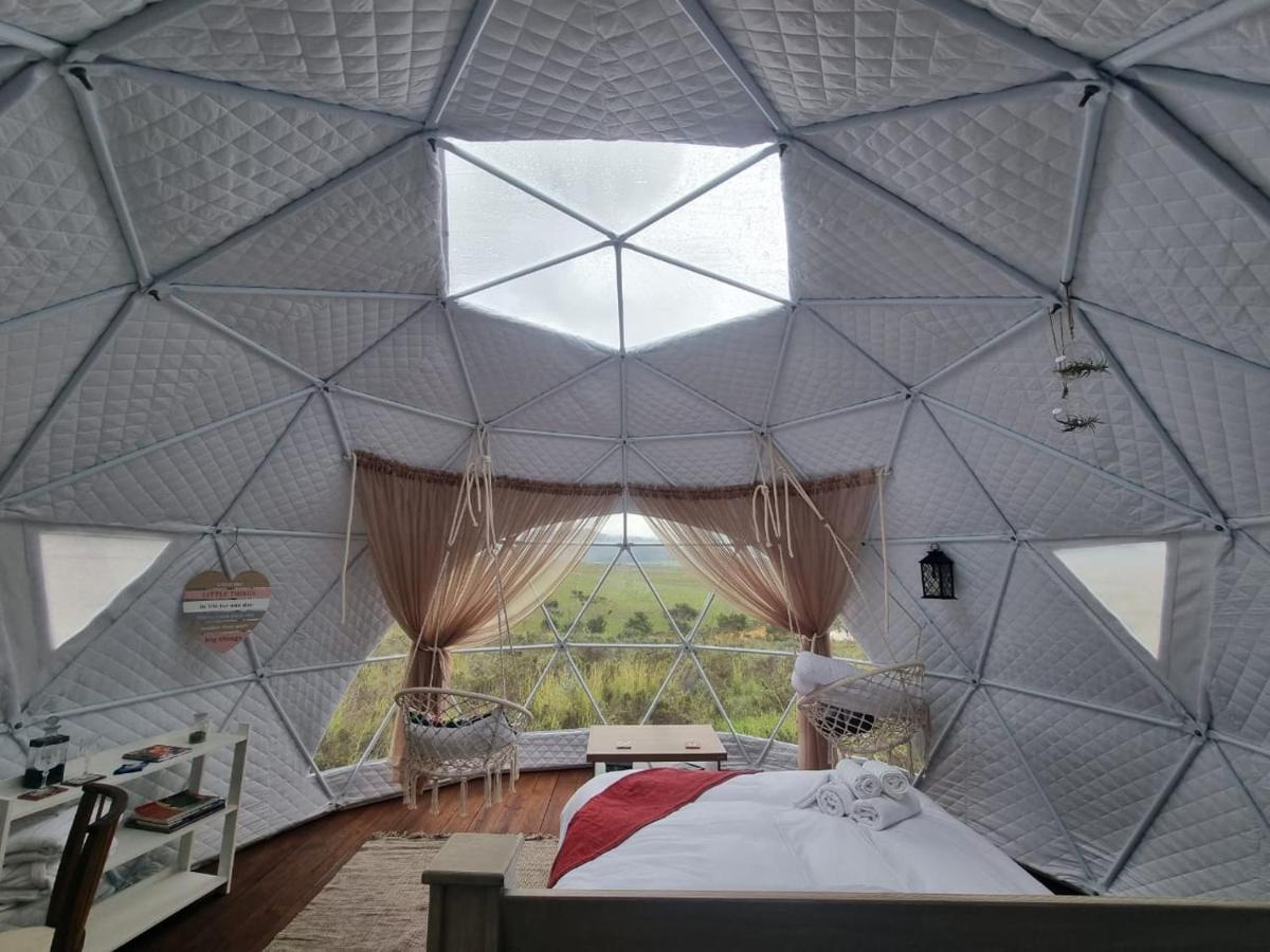 Pom Gratz - Ecodomes Hotel Hartebeesrivier Exterior foto