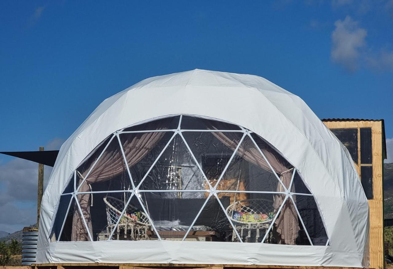 Pom Gratz - Ecodomes Hotel Hartebeesrivier Exterior foto
