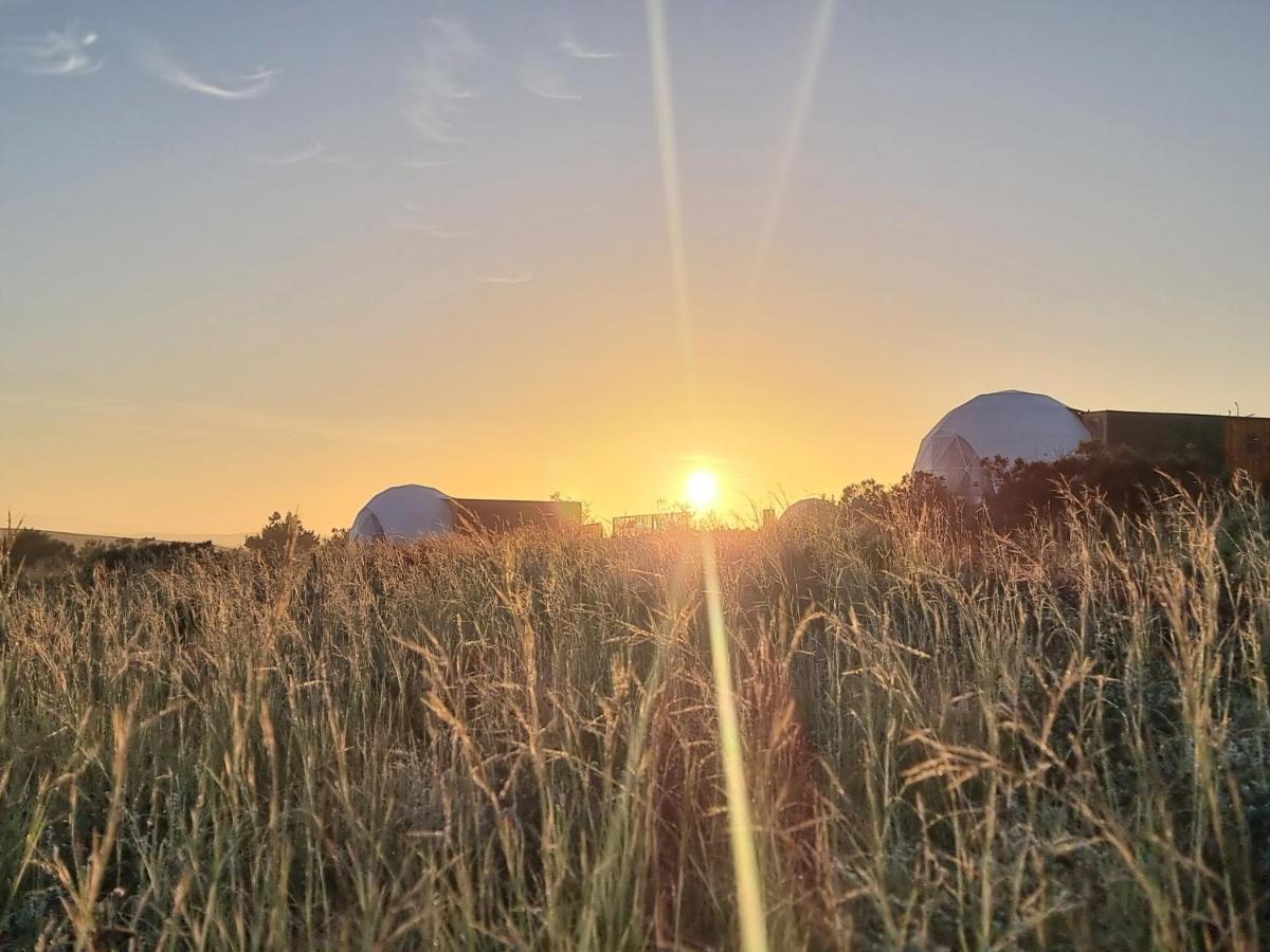 Pom Gratz - Ecodomes Hotel Hartebeesrivier Exterior foto