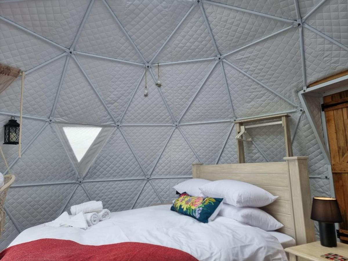 Pom Gratz - Ecodomes Hotel Hartebeesrivier Exterior foto