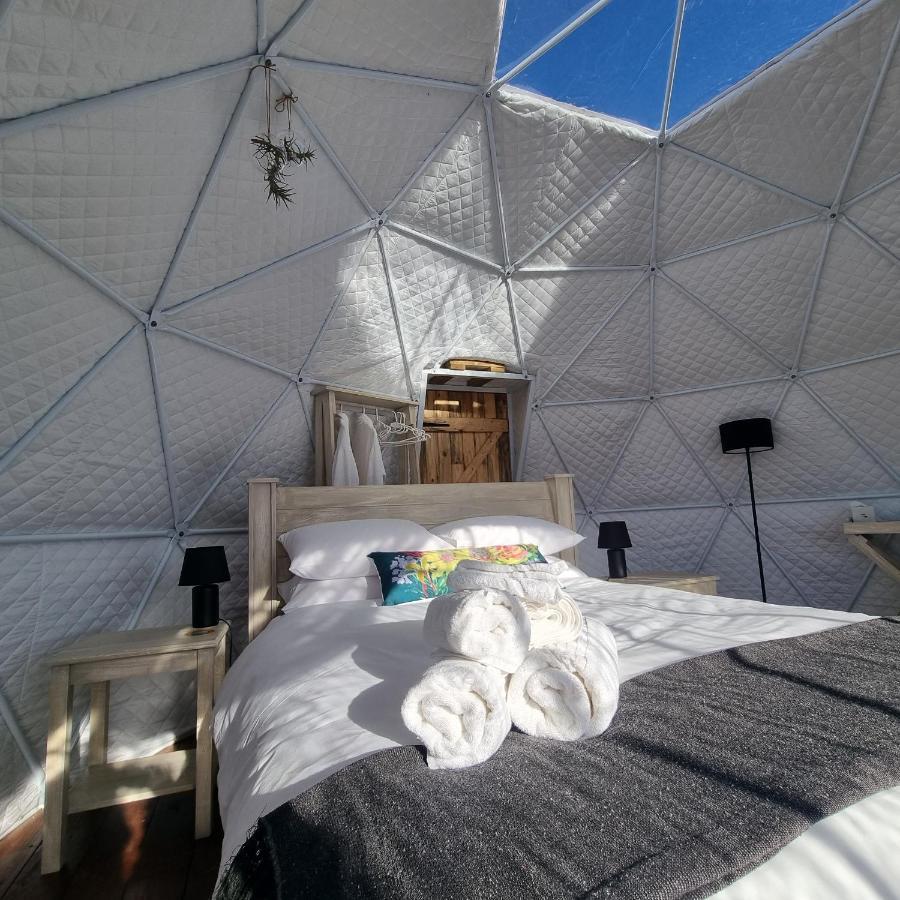 Pom Gratz - Ecodomes Hotel Hartebeesrivier Exterior foto